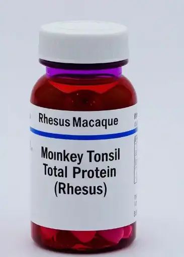[ZAY-G-2122] Monkey Tonsil Total Protein, Rhesus - 0.5 mg